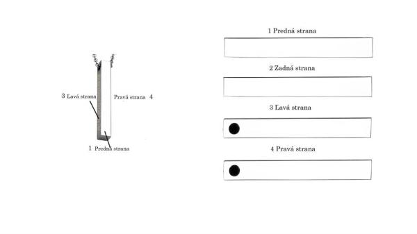 Luxusný náhrdelník s gravírovaným príveskom  /40 mm x 5 mm/ z chirurgickej ocele